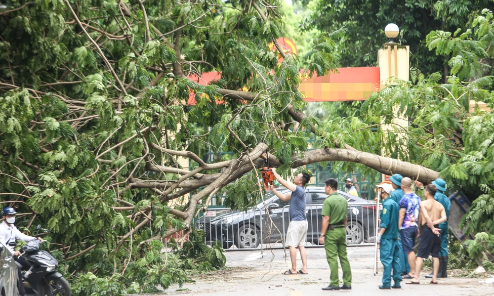 Lực lượng chức năng và người dân đang cưa, cắt cây gãy đổ sau bão số 3