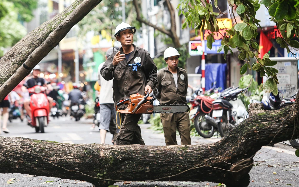 Công nhân mới cưa, cắt cành để dọn dẹp đường phố sau bão số 3