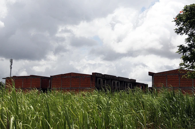 Khu đô thị lớn nhất Cần Thơ thành chỗ chăn cừu