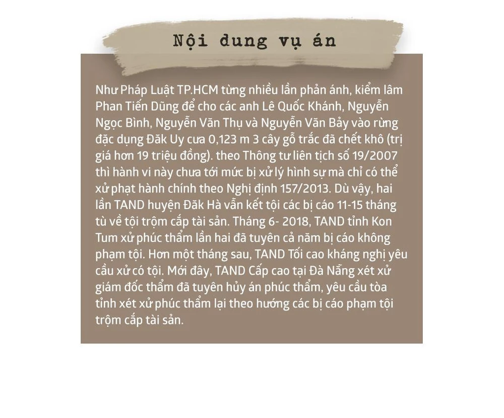 Ai đã làm cho vụ cưa gỗ khô thêm phức tạp? ảnh 15