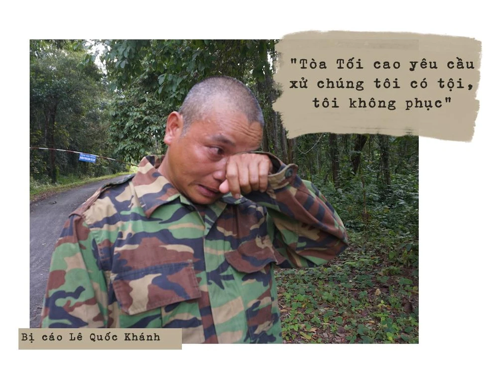 Ai đã làm cho vụ cưa gỗ khô thêm phức tạp? ảnh 14