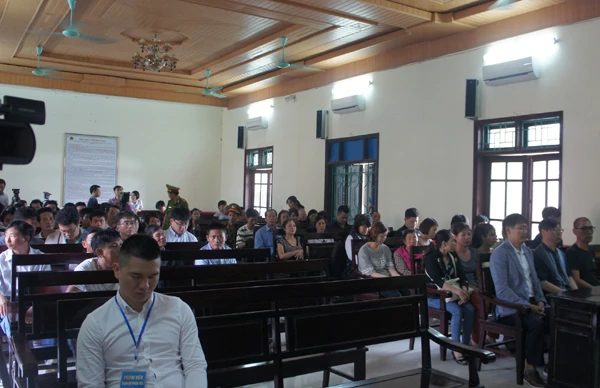 Hoãn xử vụ sập giàn giáo ở Formosa làm 13 công nhân chết ảnh 6