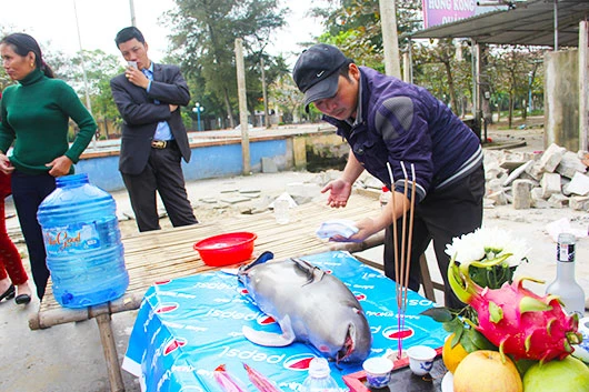 Xác cá ông dạt vào bờ biển được người dân làm lễ an táng ảnh 1 Xác cá ông dạt vào bờ biển được người dân làm lễ an táng ảnh 1
