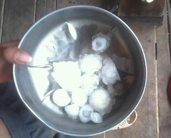 Mưa đá to như trứng gà lại xuất hiện ở miền núi Nghệ An ảnh 2