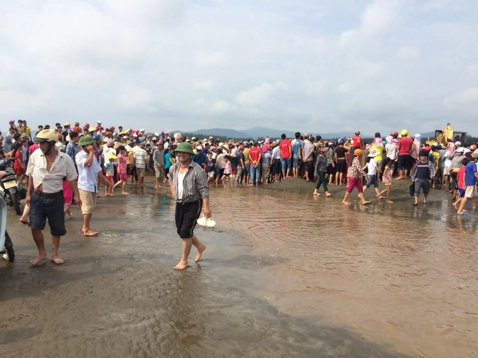 Giải cứu cá voi 15 tấn mắc cạn tại bờ biển Nghệ An ảnh 4