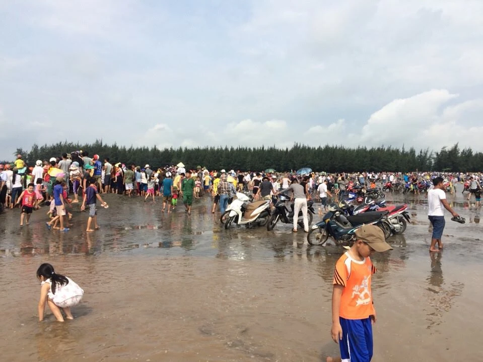 Giải cứu cá voi 15 tấn mắc cạn tại bờ biển Nghệ An ảnh 5