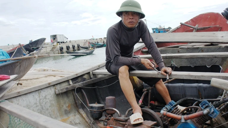 cá chết miền Trung