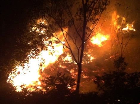 cháy rừng ở Nghệ An