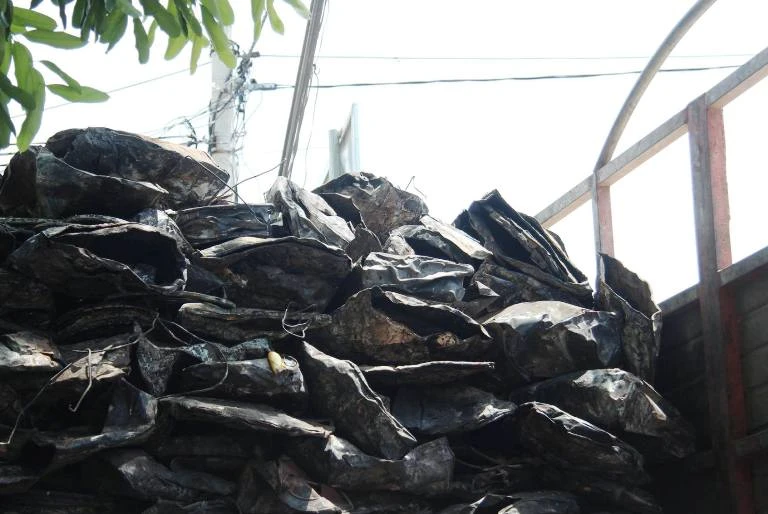 Minh oan cho fomorsa 