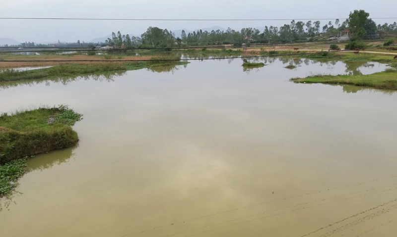 Cận cảnh căn nhà bỏ hoang vì bị đưa thi thể vào mổ ảnh 2