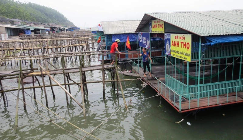 Tìm nguyên nhân hàng trăm kg cá, mực ở Vũng Áng chết 