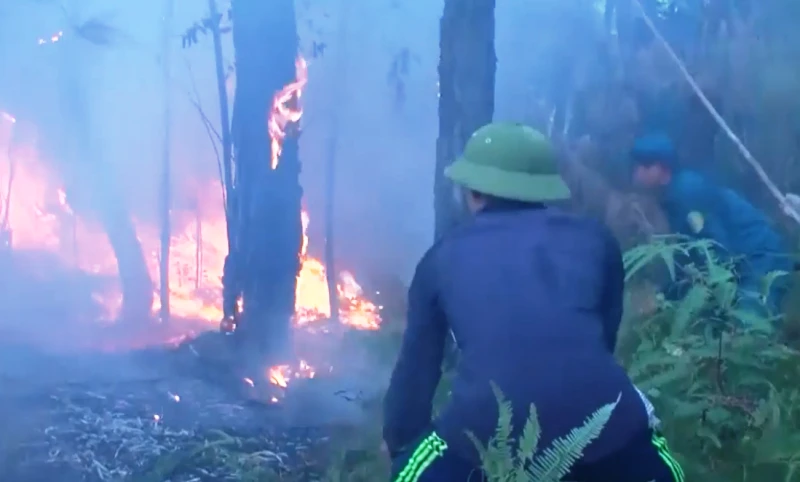 Cụ ông 70 tuổi tử vong khi cùng vợ chữa cháy rừng ảnh 1