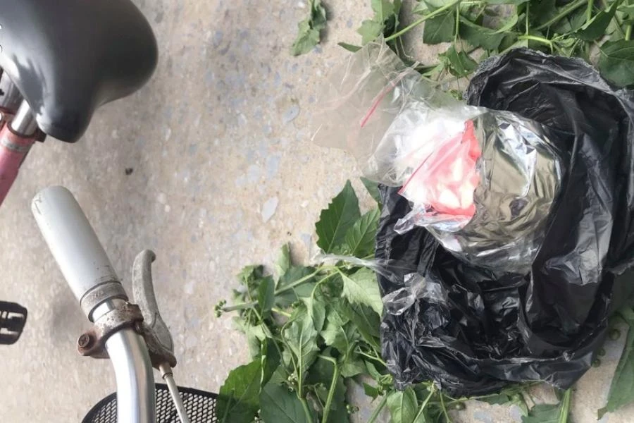 Toàn bỏ ma túy lẫn trong rau xanh rồi trên đường đạp xe đi giao cho khách hàng thì bị bắt quả tang. Ảnh: CA.