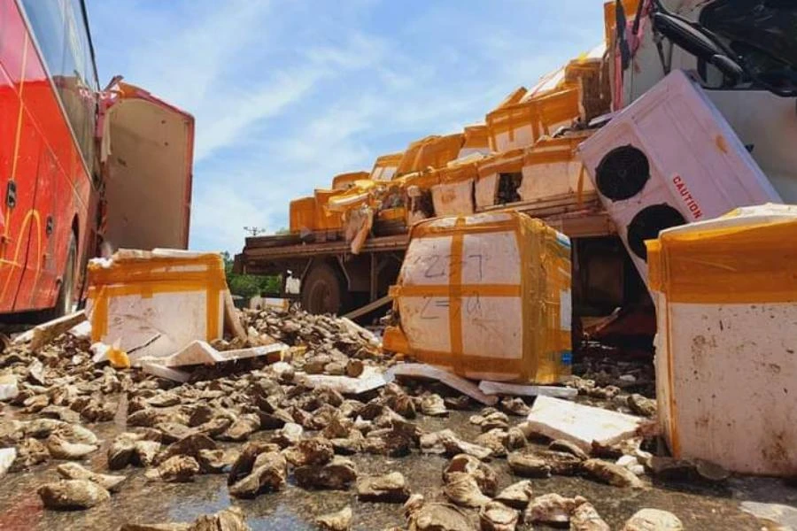 Vụ tai nạn khiến hải sản (hàu) đổ ra mặt đường. Ảnh: CTV