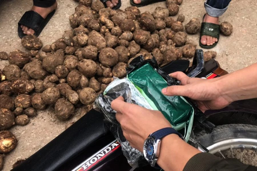 Tang vật ma túy giấu trong bao khoai sọ nhưng không qua mặt được cảnh sát