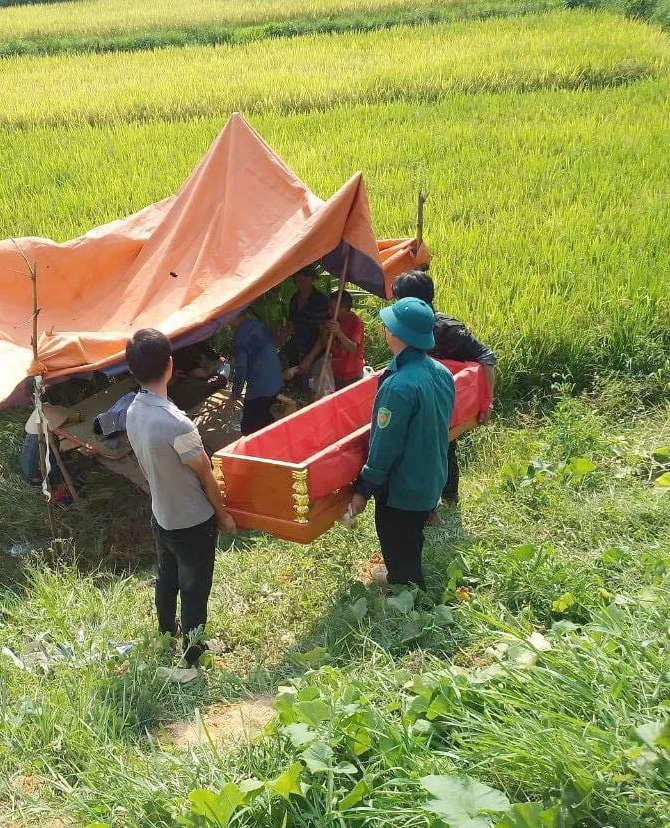 Cánh đồng lúa nơi máy gặt bị lật khiến ông Kỷ tử vong. Ảnh: NN.