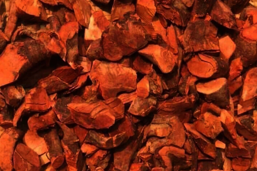 Rễ cây Mú từn phơi khô.