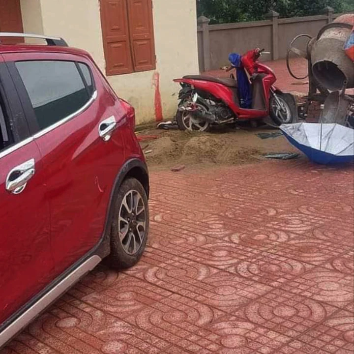 lùi xe trong sân trường làm nữ sinh lớp 6 tử vong