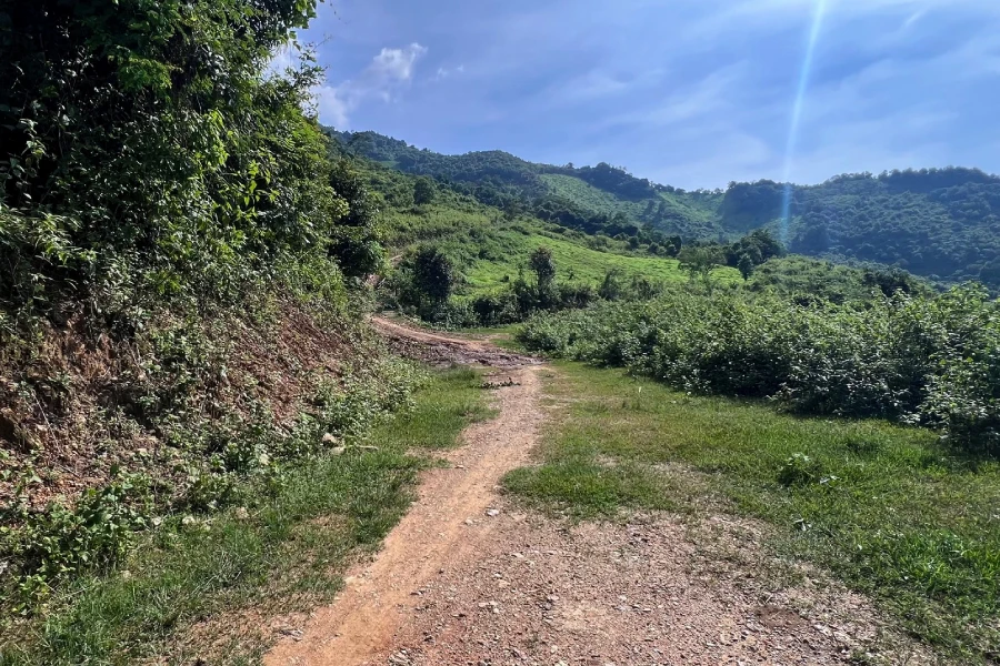 Bảy em học sinh ở huyện Kỳ Sơn (Nghệ An) bị ong đốt