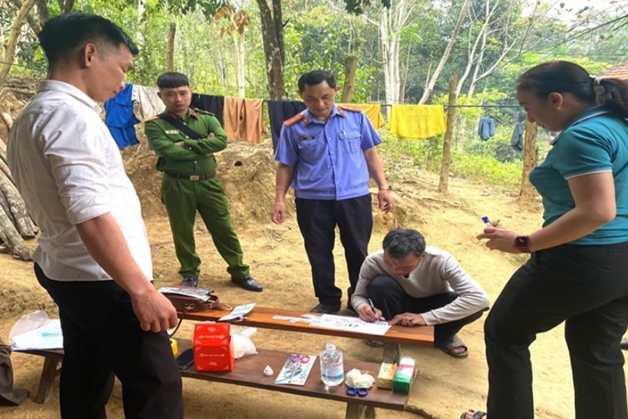 Lấy mẫu giám định ADN con bò.