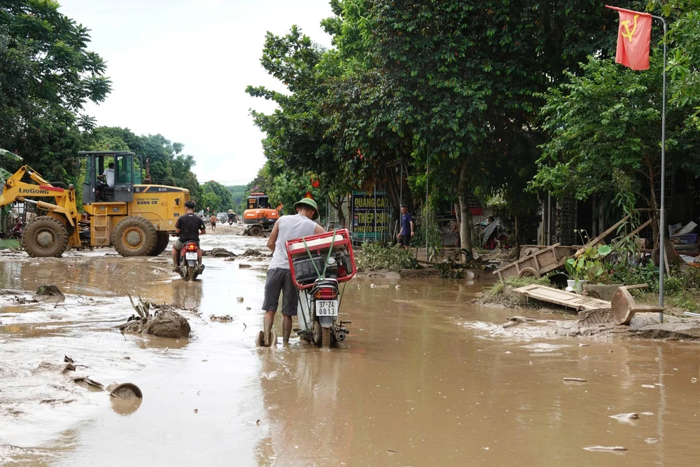 lan-trong-bun-dat (3).jpg