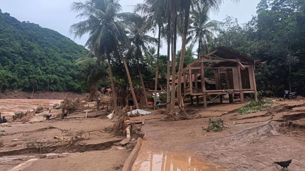 lu-co-lap-5-ngay (2).jpg