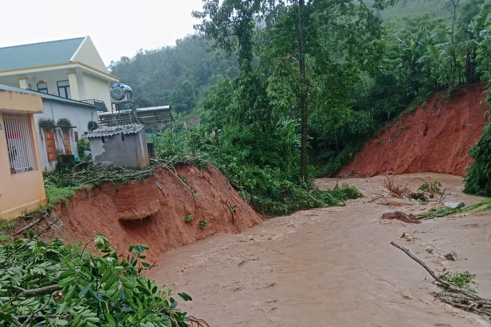 bao-so-5-nghe-an (2).jpg