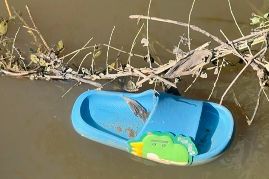 Vụ mẹ ngất lịm khi thấy thi thể 2 con: Khởi tố vụ án, bà nội là nghi can