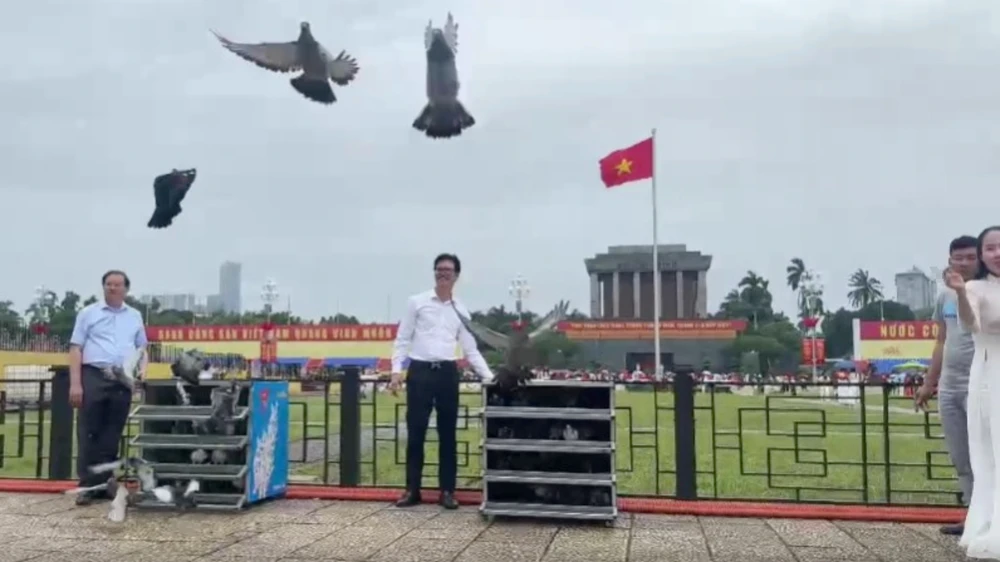 khoi-long-vu (1).jpg