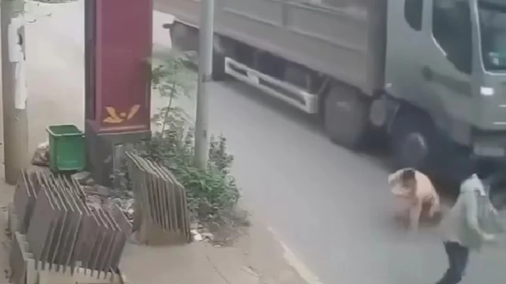 day-csgt-nga (2).jpg