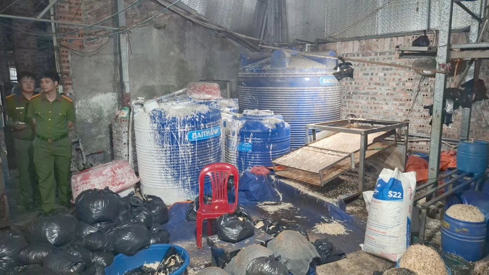 4-tan-gia-do (2).jpg