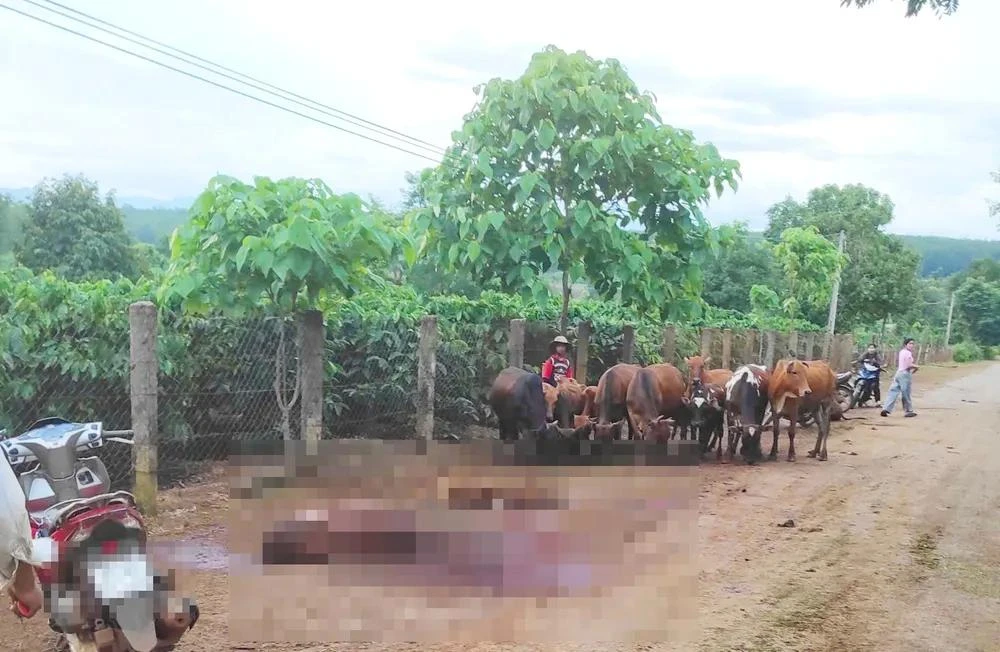 xe tải mất phanh