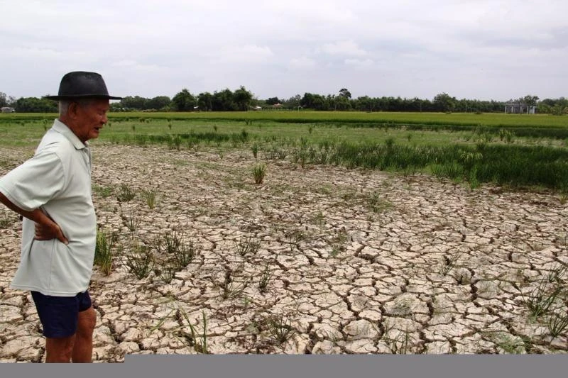 đồng ruộng khô hạn nứt nẻ