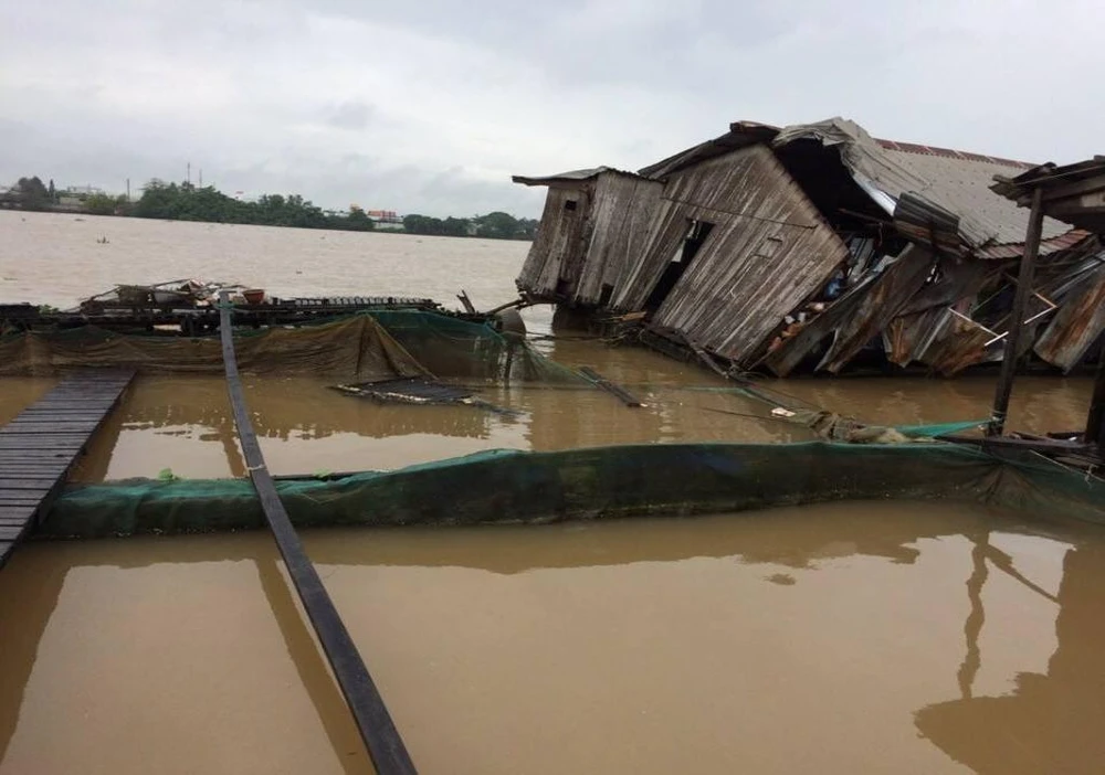 Bè cá tan hoang khi bị sà lan đâm trúng