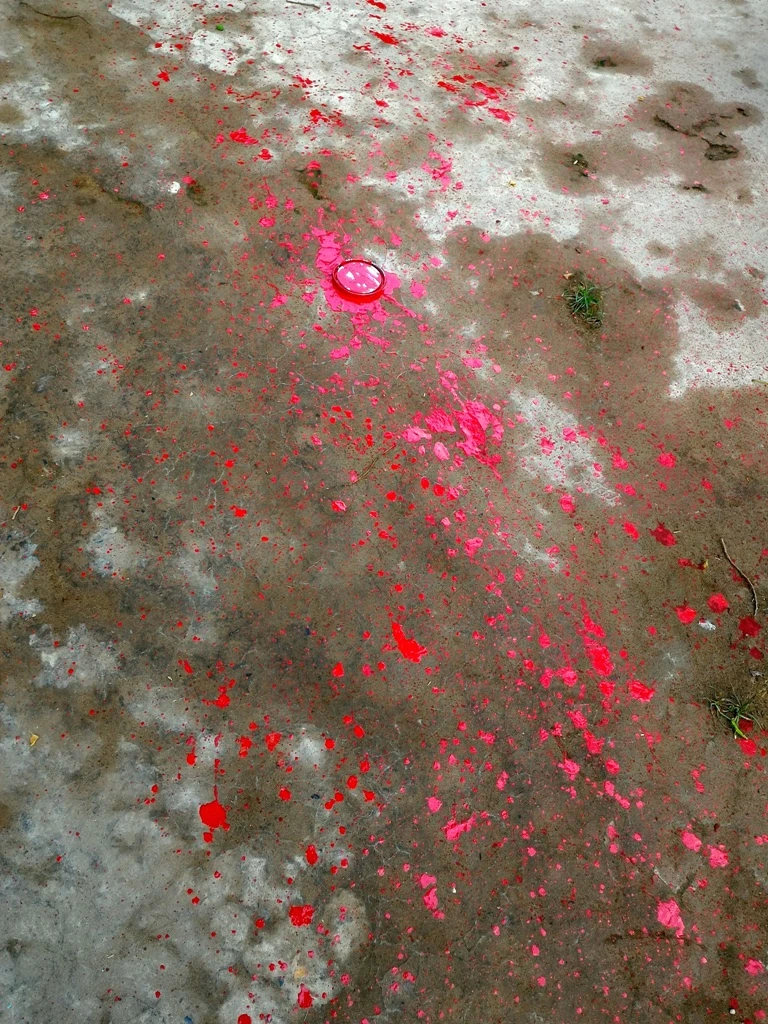 Nhà của cộng tác viên báo Công An TP.HCM bị tạt sơn ảnh 2