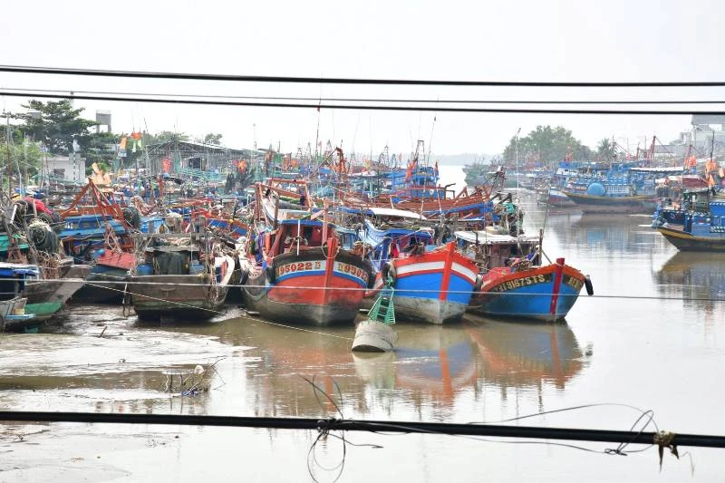 Bộ Tư lệnh QK9 kiểm tra chuẩn bị ứng phó bão Tembin ảnh 4