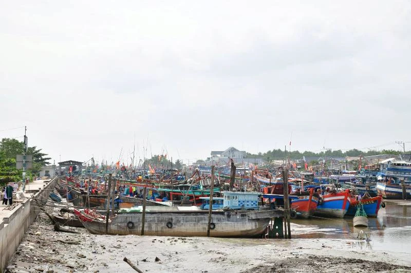 Bộ Tư lệnh QK9 kiểm tra chuẩn bị ứng phó bão Tembin ảnh 6