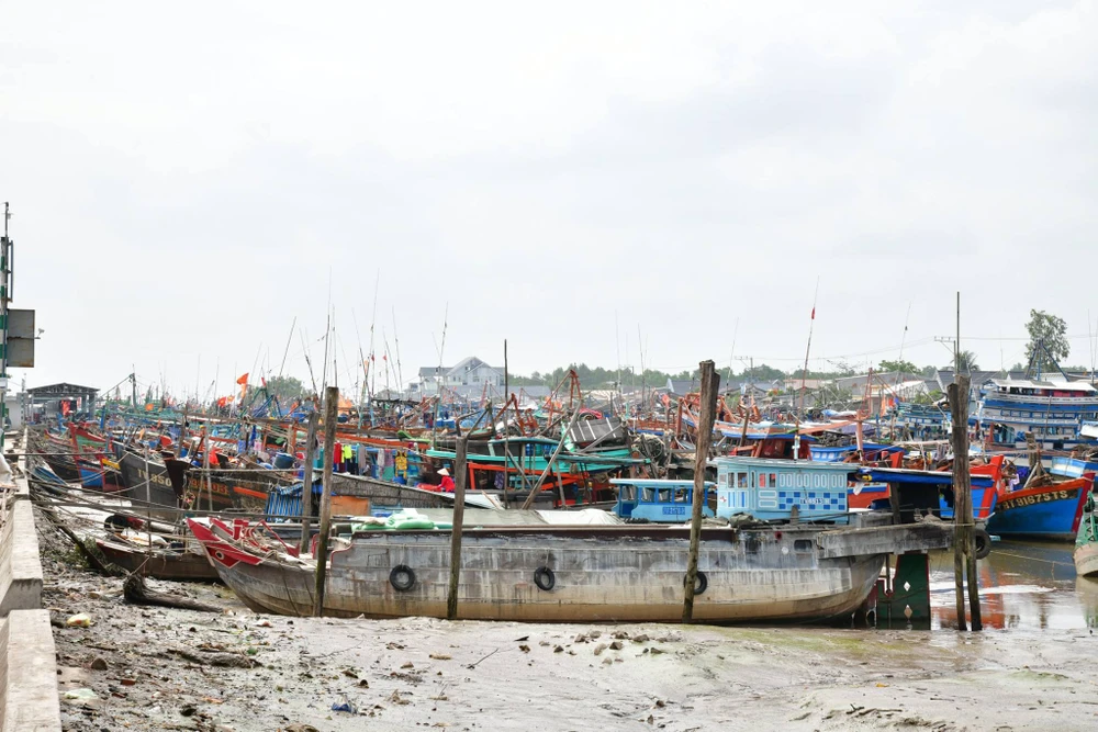 Bộ Tư lệnh QK9 kiểm tra chuẩn bị ứng phó bão Tembin ảnh 5