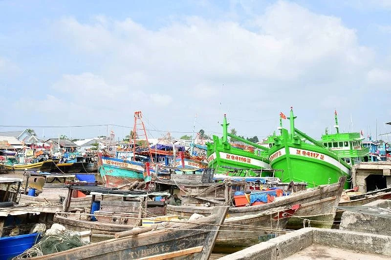 Bộ Tư lệnh QK9 kiểm tra chuẩn bị ứng phó bão Tembin ảnh 1