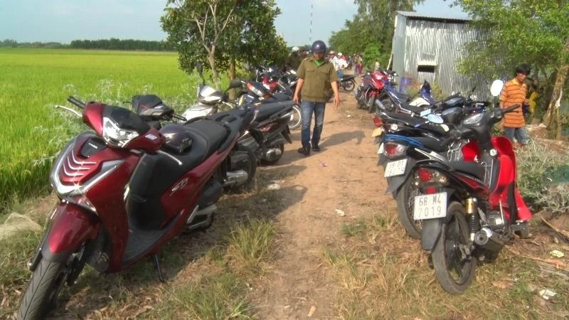 Kiên Giang bắt ổ đá gà thường xuyên đổi địa điểm ảnh 1