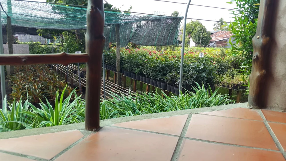 Checkin làng hoa Sa Đéc trước giờ trăm hoa đua nở ảnh 10