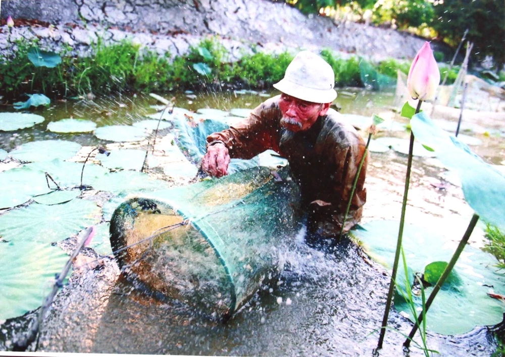 Đất sen hồng chờ đón anh hùng phi công Nguyễn Văn Bảy ảnh 7