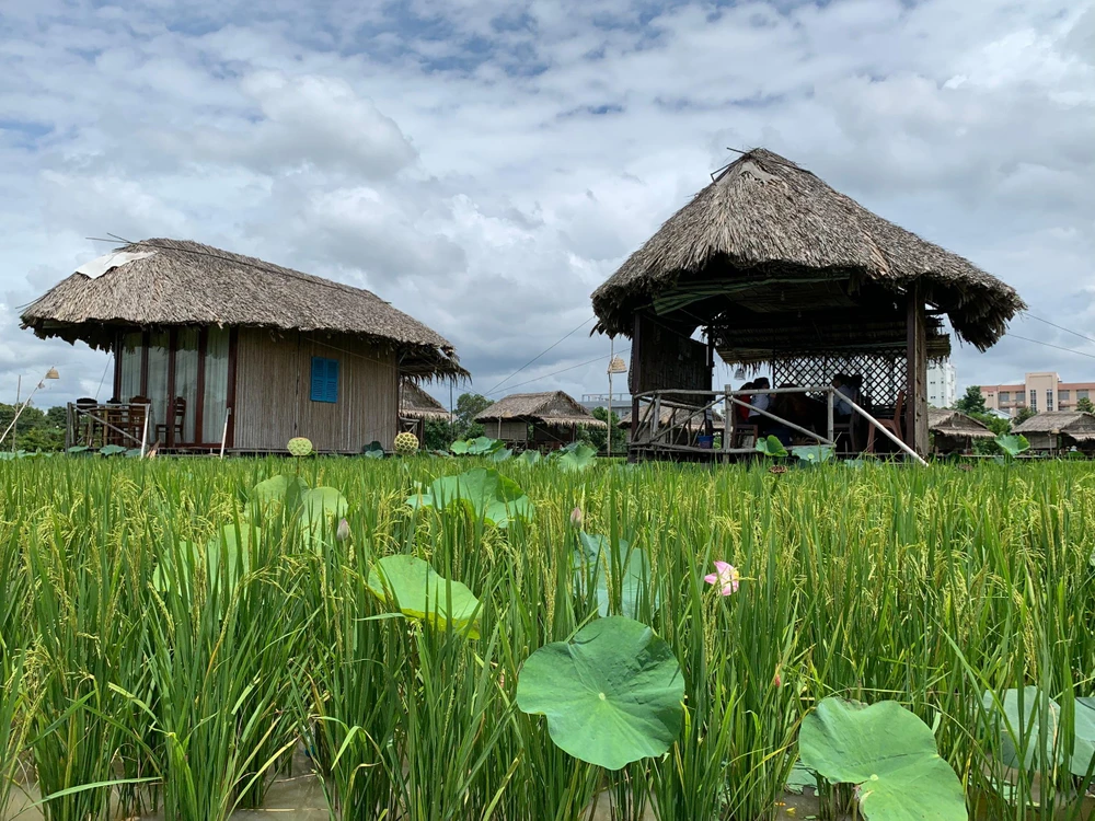 Du lịch nông nghiệp ĐBSCL có tiềm năng rất lớn.