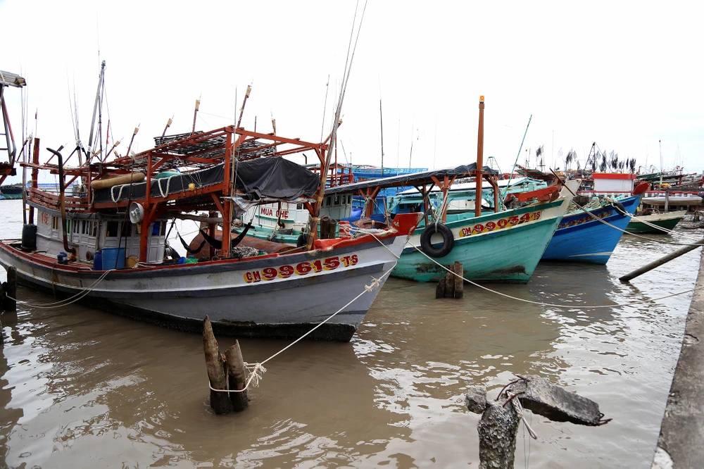 Cà Mau cần trên 5.230 tỉ để đầu tư, nâng cấp cơ sở hạ tầng nghề cá