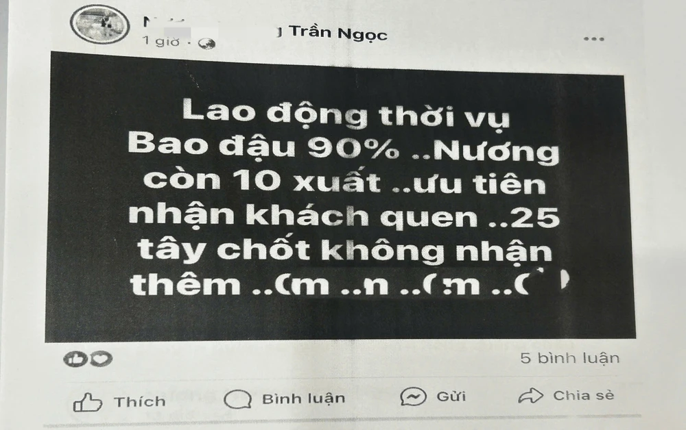anh lua dao.jpg