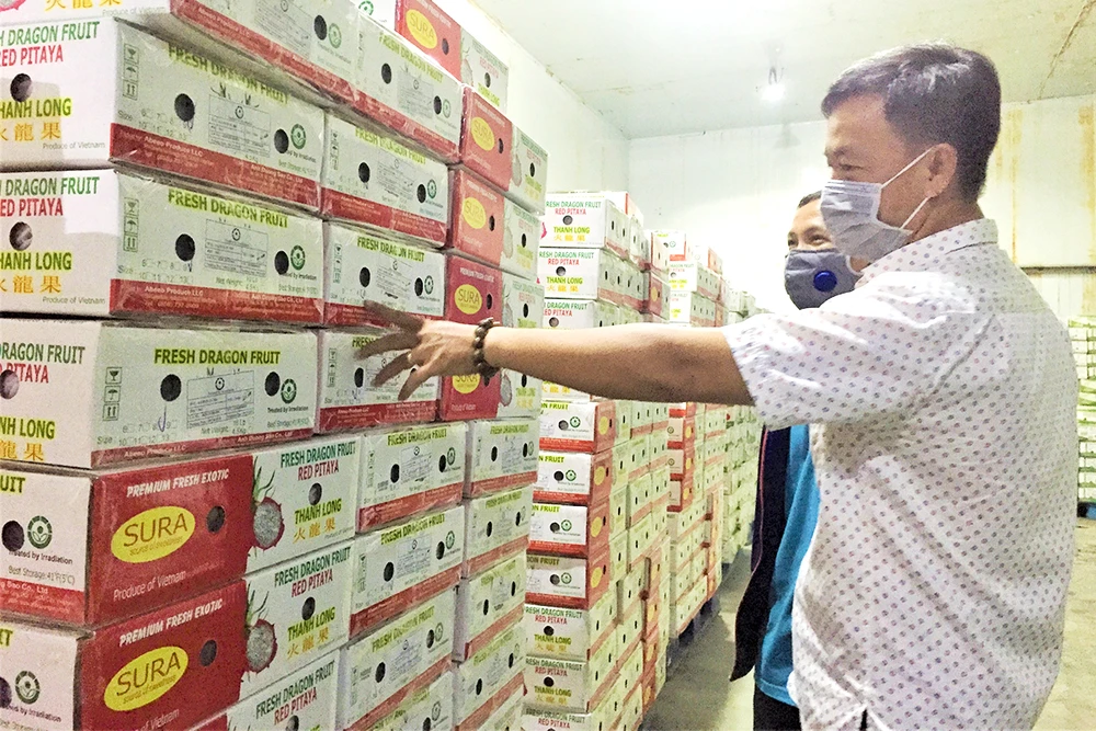 Việt kiều mách nước đưa hàng Việt sang Mỹ ảnh 2