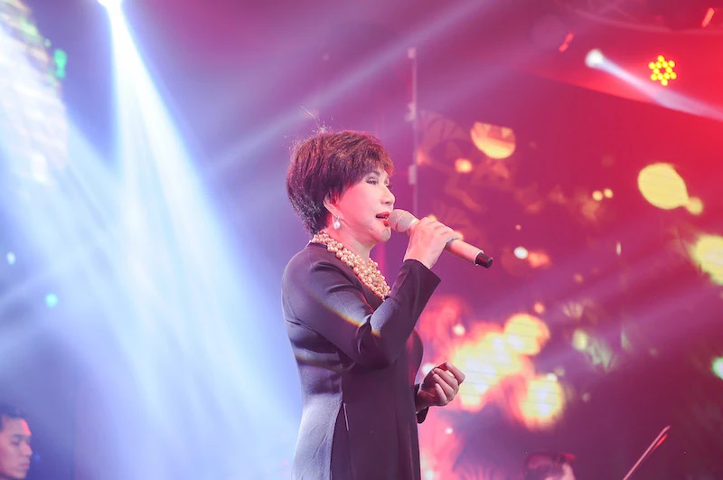 Lệ Thu - giọng ca của sự chia ly ảnh 1