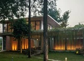 Biệt thự 'sang, xịn, mịn' ẩn giữa rừng thông ở Ba Vì 