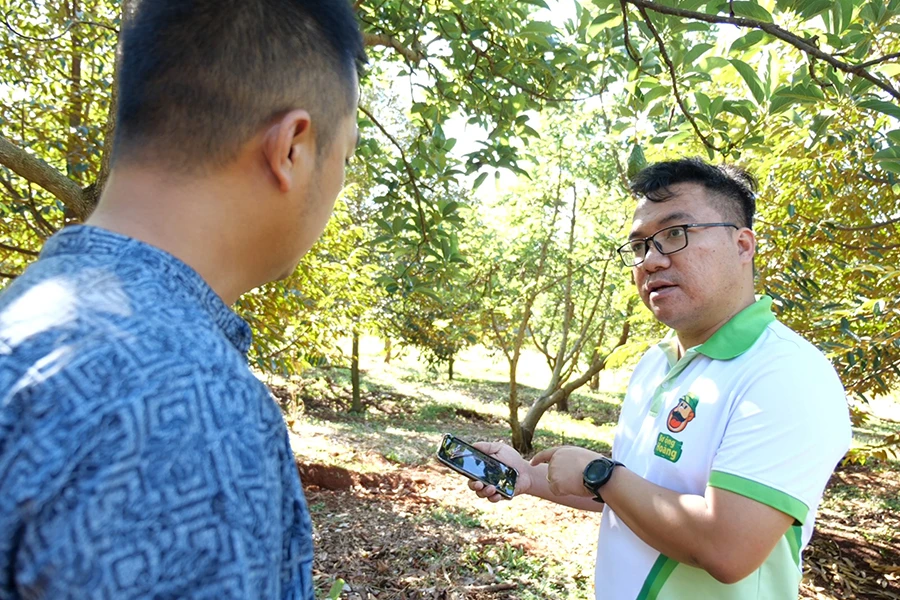 Ông Đặng Dương Minh Hoàng (bên phải), Giám đốc HTX Dịch vụ nông nghiệp số Bình Phước, làm việc với cộng sự. Ảnh: THU HÀ