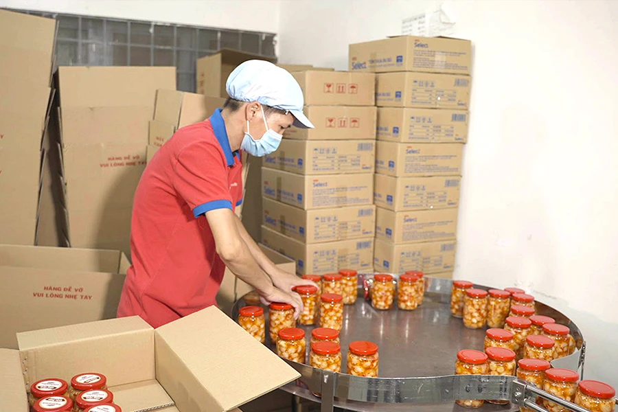 Chế biến, đóng gói cà pháo cùng nhiều mặt hàng khác để bán cho đối tác nước ngoài. Ảnh: QH